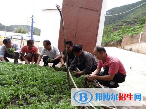 大理讀中專學校學什么專業(yè)好