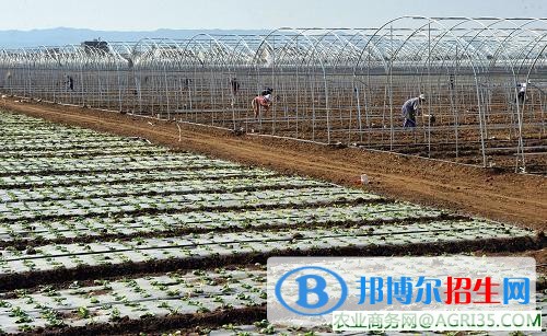 大理初中畢業(yè)讀什么中專學校好
