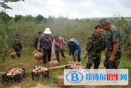 曲靖什么叫中專學校