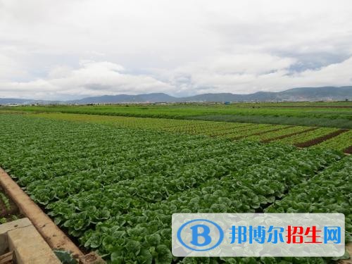 玉溪初中中專學校都有什么專業(yè)