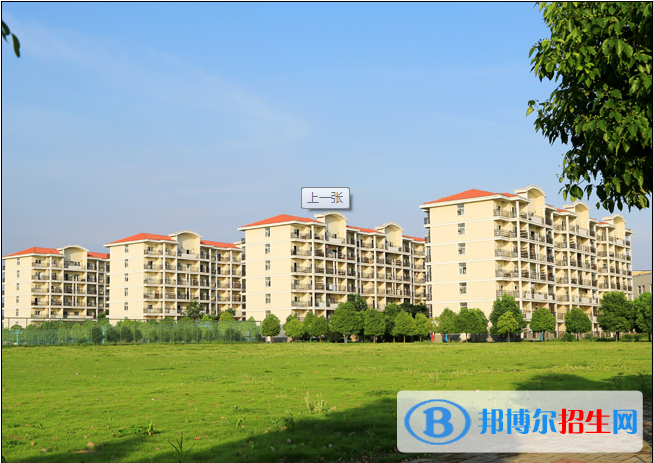 合肥信息技術(shù)職業(yè)學(xué)院?jiǎn)握袌?bào)名時(shí)間
