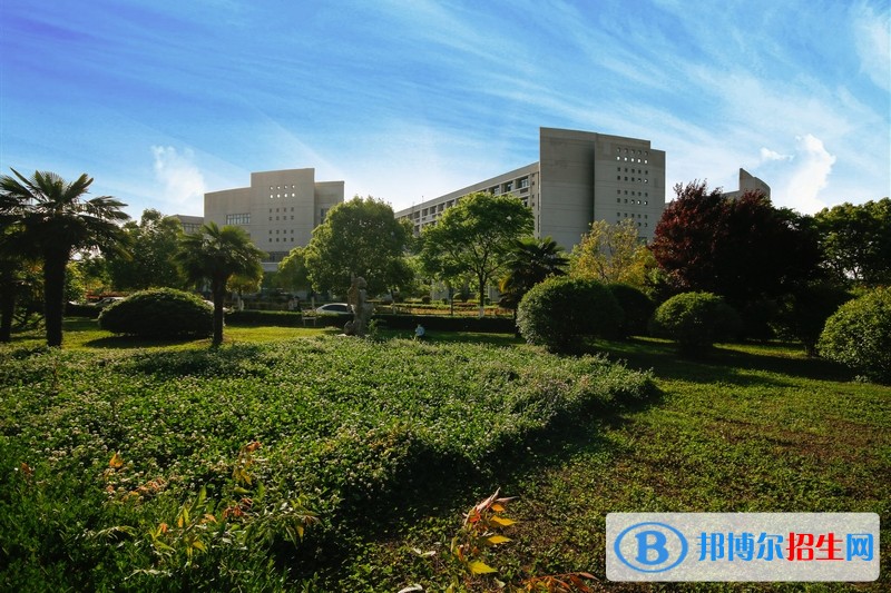 安徽電子信息職業(yè)技術(shù)學(xué)院?jiǎn)握袌?bào)名條件