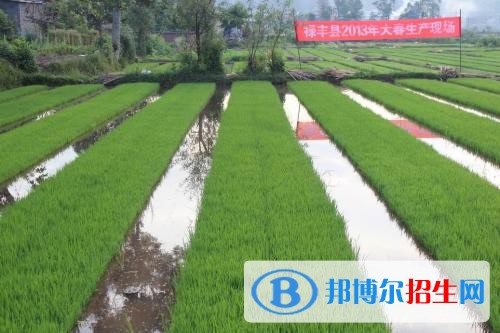 楚雄女生讀高中好還是中專學(xué)校
