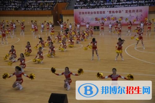 楚雄讀中專學(xué)?？梢钥即髮W(xué)嗎
