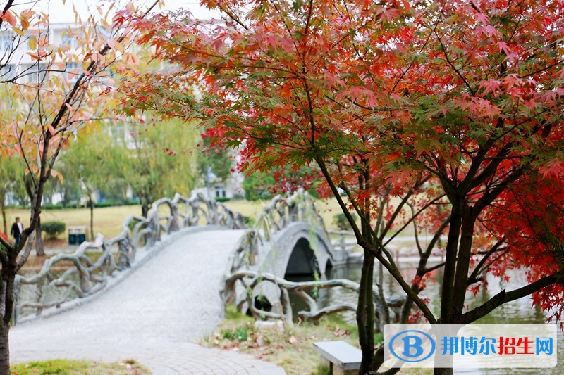 合肥財經(jīng)職業(yè)學(xué)院單招報名時間