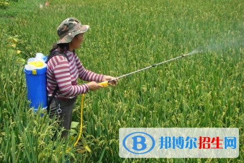 楚雄讀中專學(xué)校學(xué)什么有前途