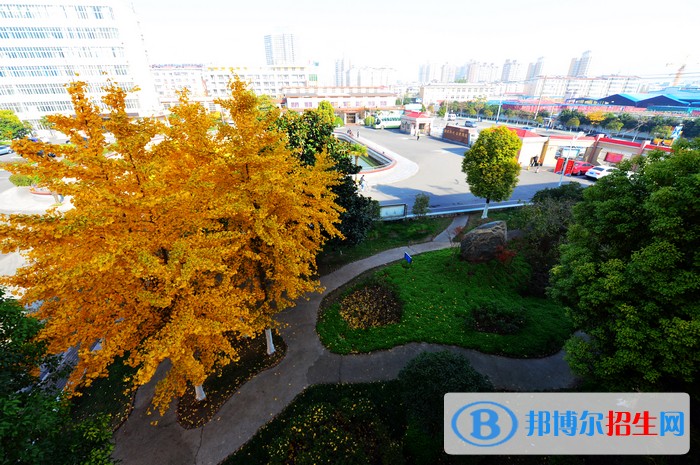 安徽礦業(yè)職業(yè)技術(shù)學(xué)院單招報名時間