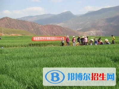楚雄讀中專學(xué)校有什么好處