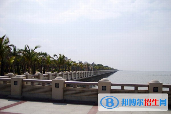 皖北衛(wèi)生職業(yè)學(xué)院?jiǎn)握袌?bào)名時(shí)間