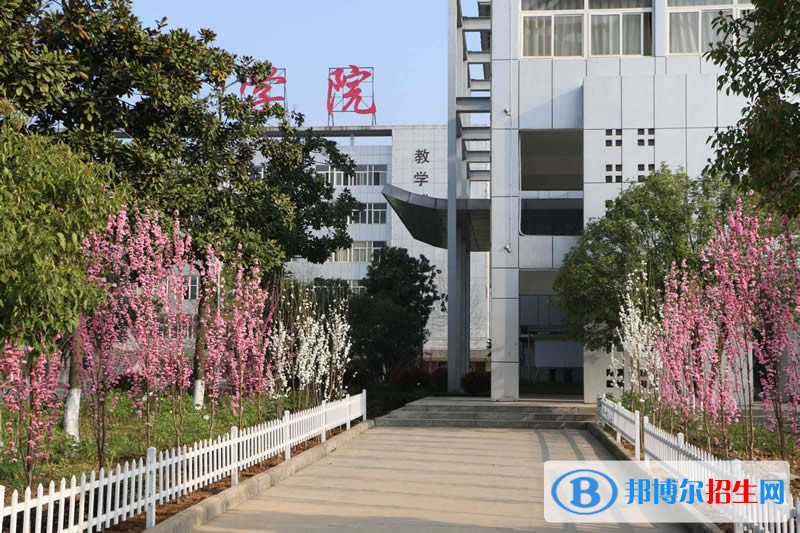 皖西衛(wèi)生職業(yè)學(xué)院2019年單招錄取分?jǐn)?shù)線