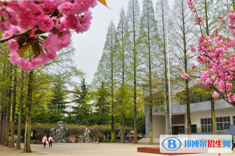 安徽林業(yè)職業(yè)技術(shù)學(xué)院2019年單招錄取分數(shù)線