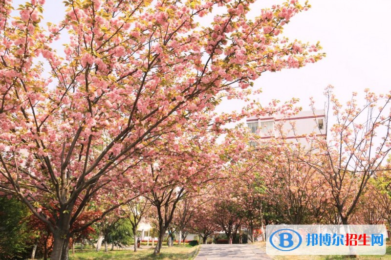 安徽國(guó)防科技職業(yè)學(xué)院?jiǎn)握泻?jiǎn)章