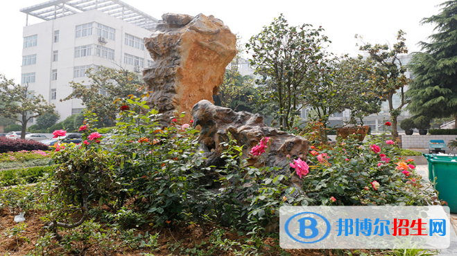 淮南職業(yè)技術(shù)學(xué)院?jiǎn)握袌?bào)名條件