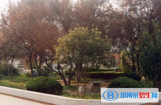 安徽藝術(shù)職業(yè)學(xué)院單招報(bào)名條件