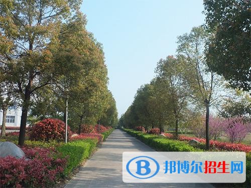 安徽旅游職業(yè)學(xué)院單招報(bào)名時(shí)間