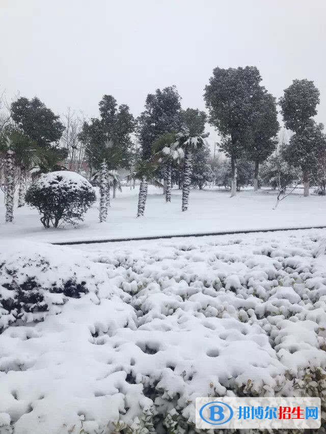 安徽廣播影視職業(yè)技術(shù)學(xué)院?jiǎn)握谐煽?jī)查詢時(shí)間