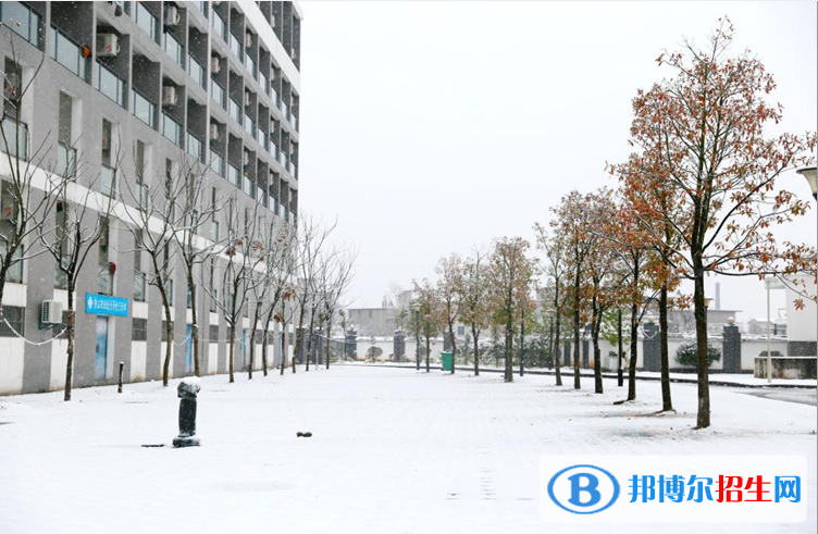 黃山職業(yè)技術(shù)學(xué)院單招報名條件