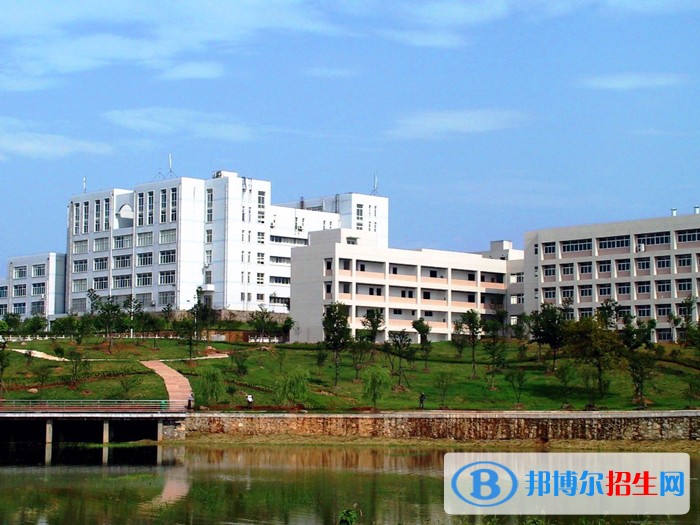 池州職業(yè)技術學院單招2019年單招錄取分數(shù)線