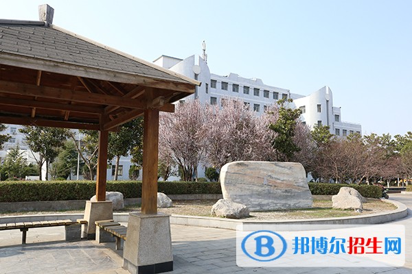 亳州職業(yè)技術(shù)學(xué)院?jiǎn)握泻?jiǎn)章