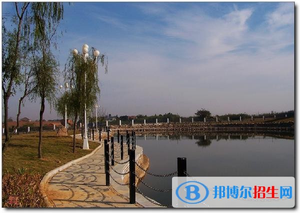 宣城職業(yè)技術(shù)學(xué)院2019年單招錄取分數(shù)線