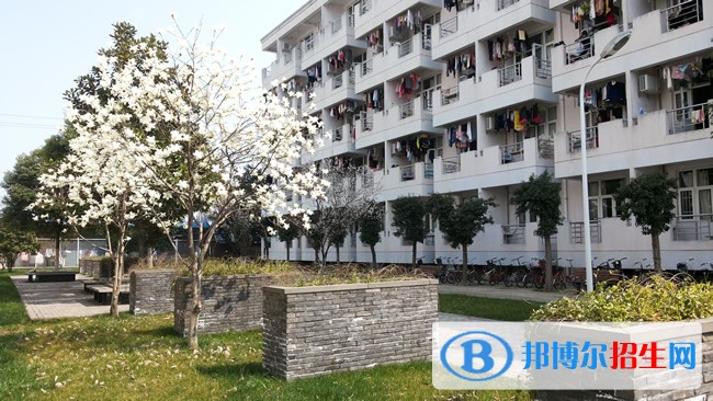 紹興職業(yè)技術(shù)學(xué)院2019年單招錄取分?jǐn)?shù)線