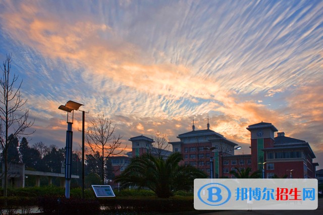 麗水職業(yè)技術(shù)學(xué)院?jiǎn)握谐煽?jī)查詢(xún)時(shí)間