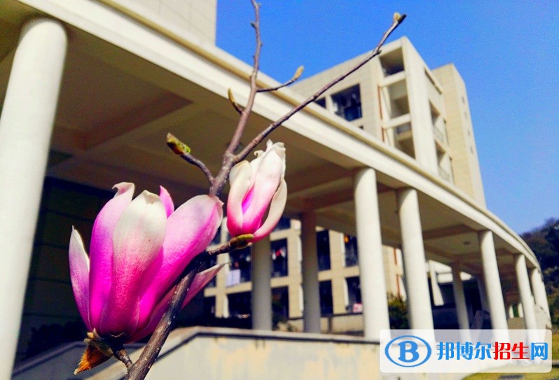 浙江舟山群島新區(qū)旅游與健康職業(yè)學(xué)院?jiǎn)握袌?bào)名時(shí)間