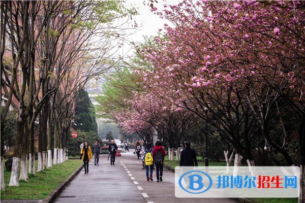 浙江機電職業(yè)技術(shù)學(xué)院2019年單招錄取分數(shù)線