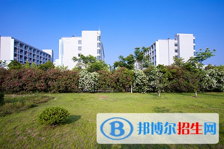 浙江金融職業(yè)學院單招報名條件