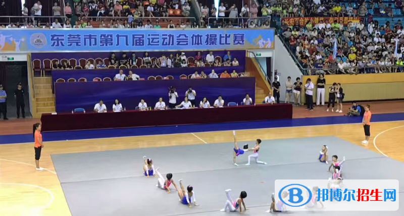 東莞體育運(yùn)動(dòng)學(xué)校招辦聯(lián)系電話(huà)