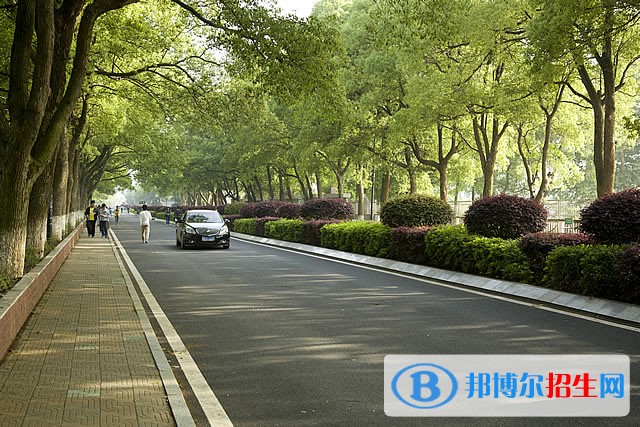 益陽職業(yè)技術學院單招成績查詢時間