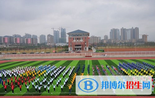 湖南軟件職業(yè)學院單招簡章