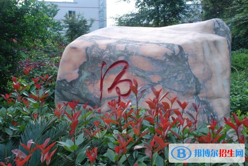 湖南現(xiàn)代物流職業(yè)技術學院單招報名條件