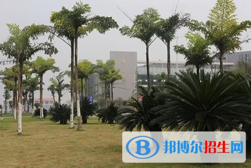 內(nèi)江讀中專學(xué)校好還是高中好