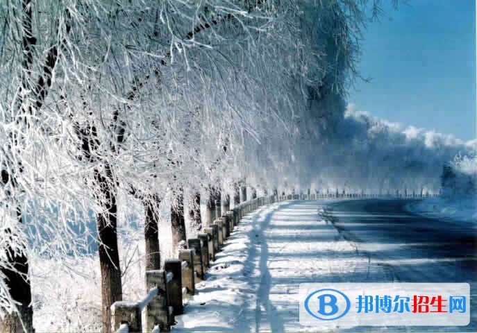 湖南環(huán)境生物職業(yè)技術(shù)學(xué)院2019年單招錄取分?jǐn)?shù)線