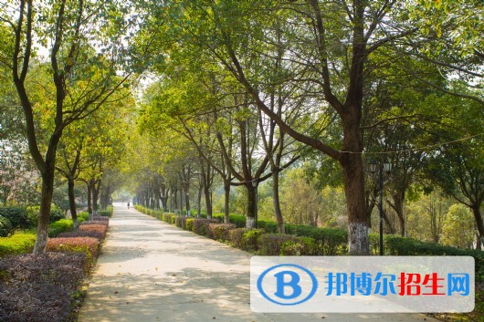 江西楓林涉外經(jīng)貿(mào)職業(yè)學院單招簡章