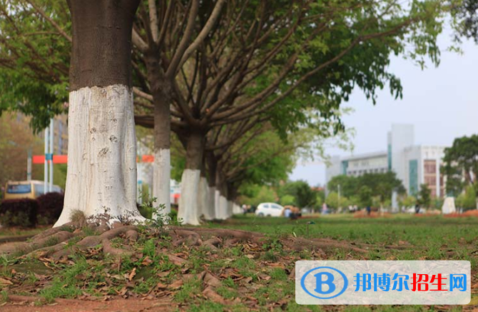 江西應用技術職業(yè)學院單招報名時間