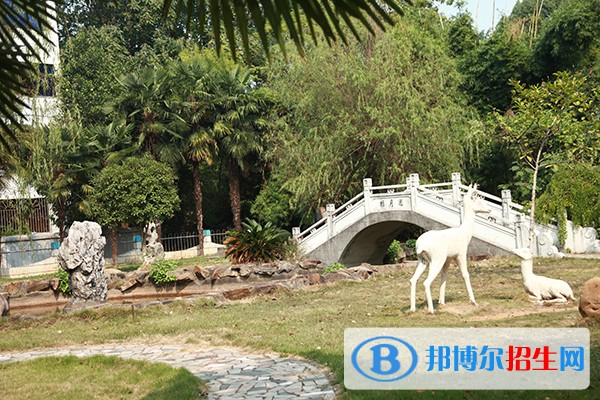 江西中醫(yī)藥高等專科學校2019年單招錄取分數(shù)線