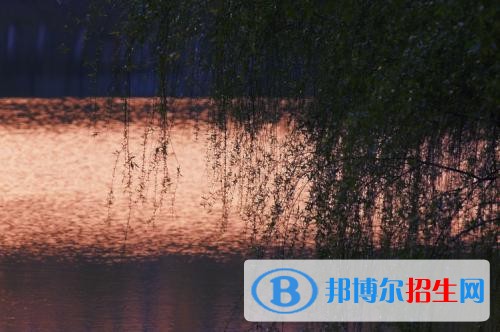 江西新能源科技職業(yè)學院單招報名條件