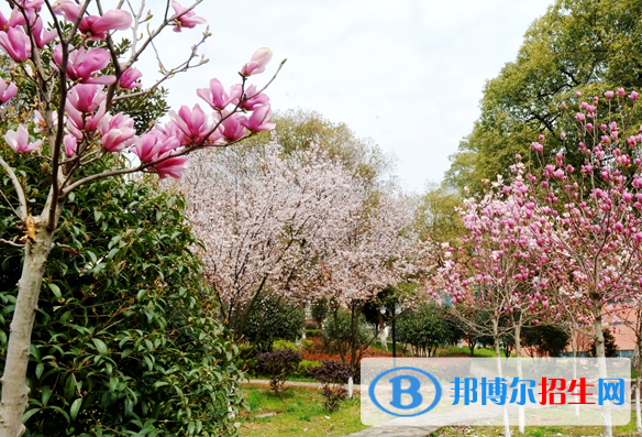 江西生物科技職業(yè)學(xué)院2019年單招錄取分?jǐn)?shù)線