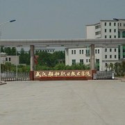 武漢船舶職業(yè)技術(shù)學(xué)院?jiǎn)握? onerror=