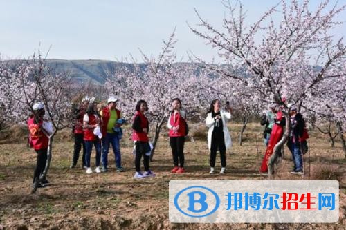 代縣職業(yè)技術學校地址在哪里