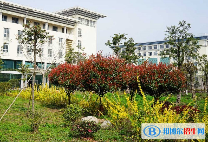 湖北中醫(yī)藥高等?？茖W(xué)院單招簡章