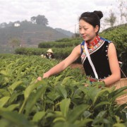 云南旅游職業(yè)學院五年制大專