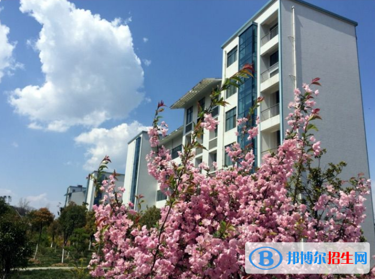 襄陽職業(yè)技術學院單招報名條件
