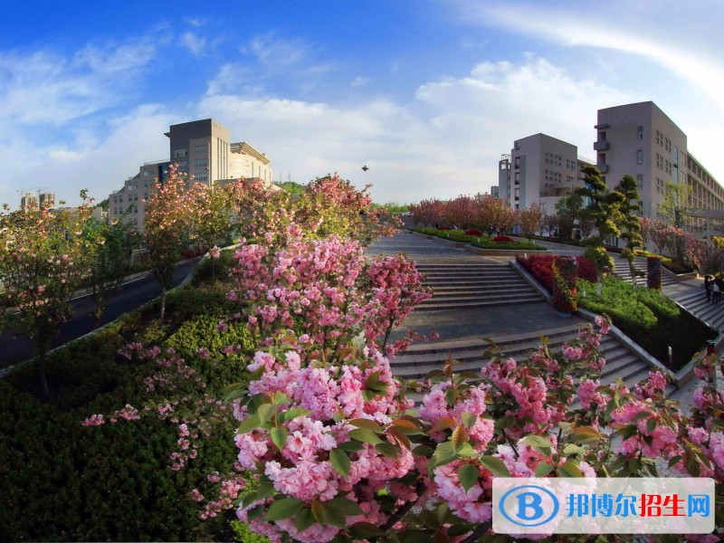 湖北工業(yè)職業(yè)技術(shù)學(xué)院單招報名條件