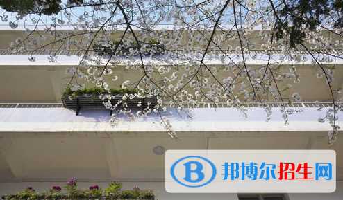 湖北藝術職業(yè)學院單招報名時間
