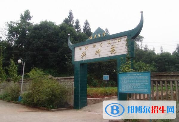樂山初中畢業(yè)讀什么中專學(xué)校好