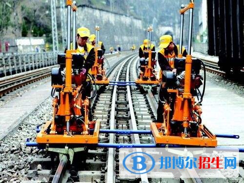 濮陽(yáng)職業(yè)技術(shù)學(xué)院?jiǎn)握袌?bào)名條件