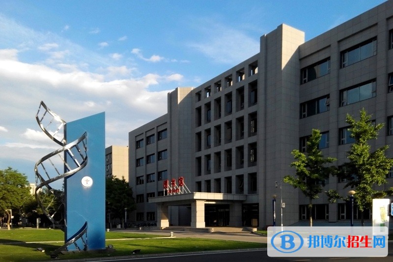 首都醫(yī)科大學(xué)2019年單招錄取分?jǐn)?shù)線